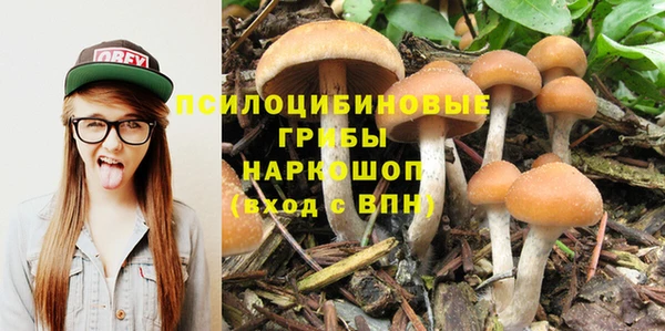 mdpv Горняк