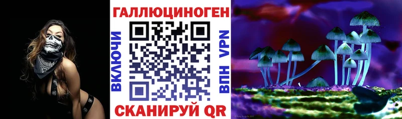 Галлюциногенные грибы Psilocybe  Муравленко 